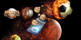 Everything You Need to Know About Online Sports 12 Everything You Need to Know About Online Sports 12