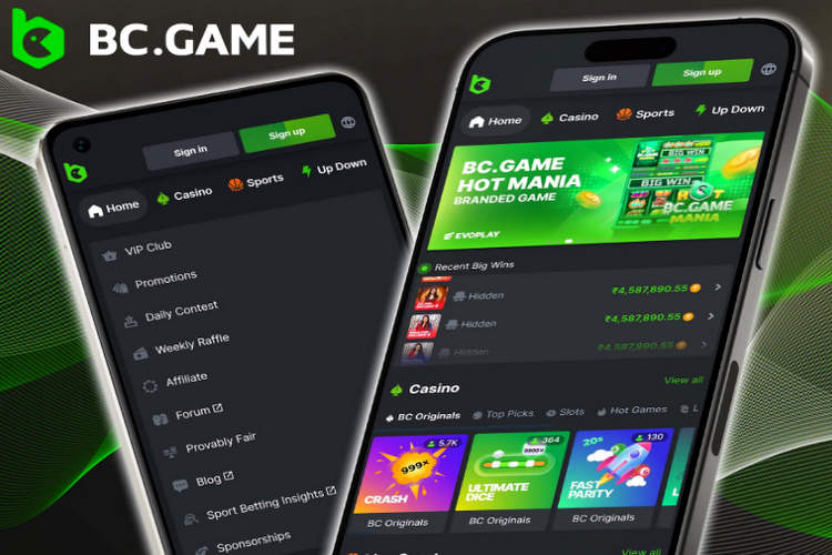 Exploring B C Game A Thrilling Adventure in the World of Online Gaming